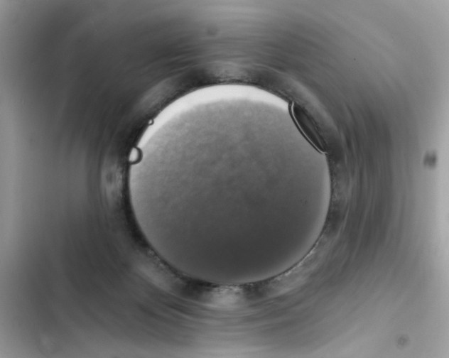 X0000101970124200808151347