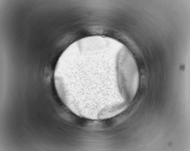 X0000101970125200808151347