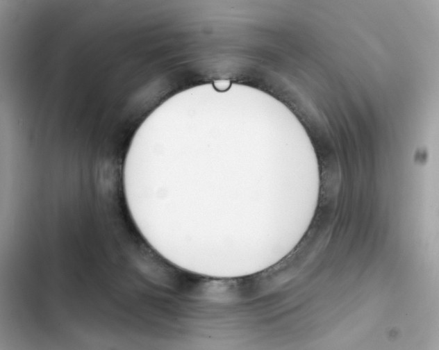 X0000101970126200808151347