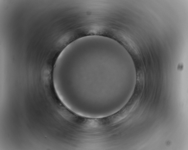 X0000101970127200808151347