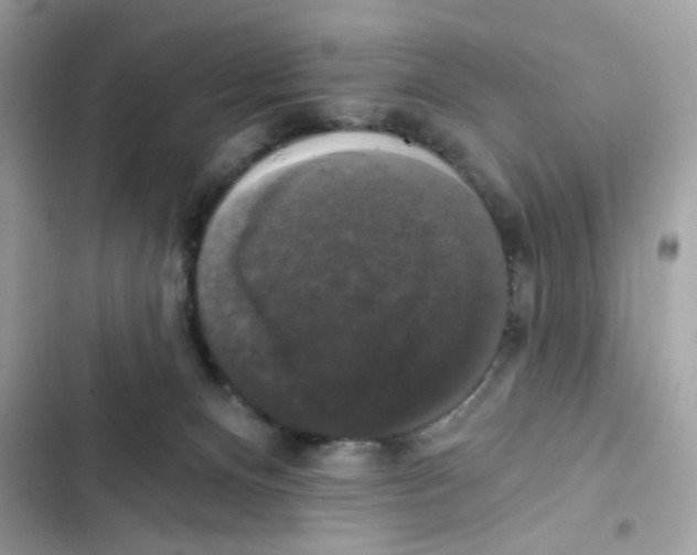 X0000101970128200808151347