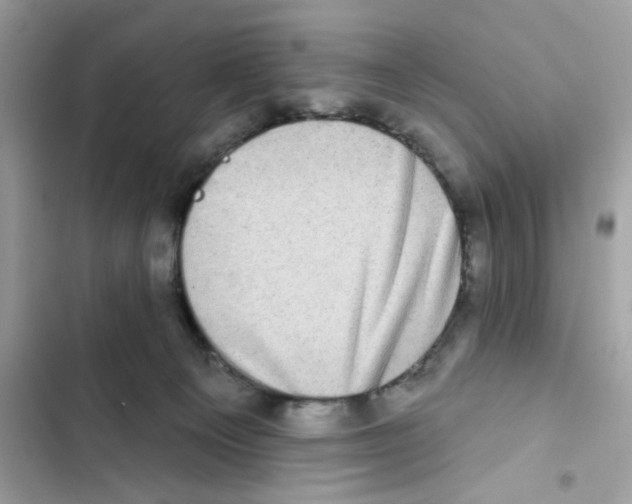 X0000101970129200808151347