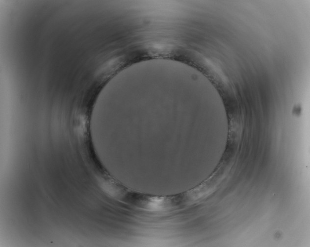 X0000101970130200808151347