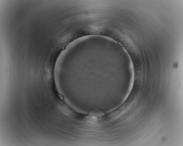 X0000101970131200808151347