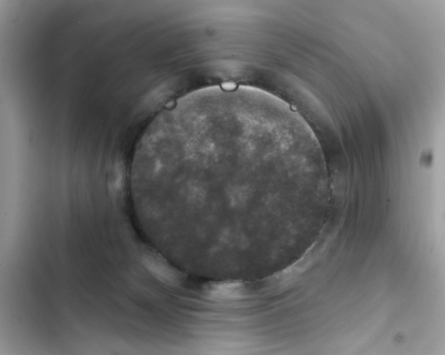 X0000101970132200808151347