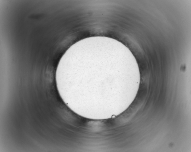 X0000101970133200808151347