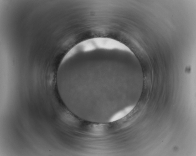X0000101970134200808151347