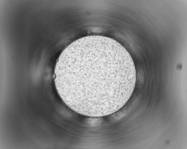 X0000101970135200808151347