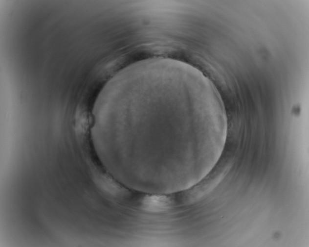 X0000101970137200808151347