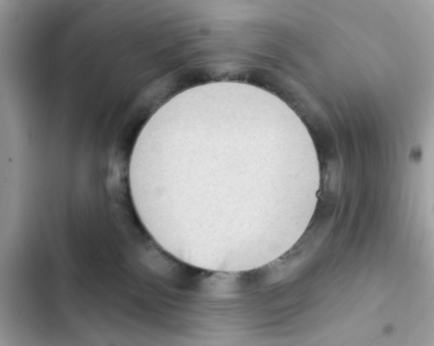 X0000101970138200808151347