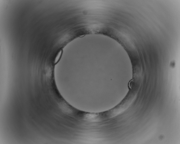 X0000101970139200808151346