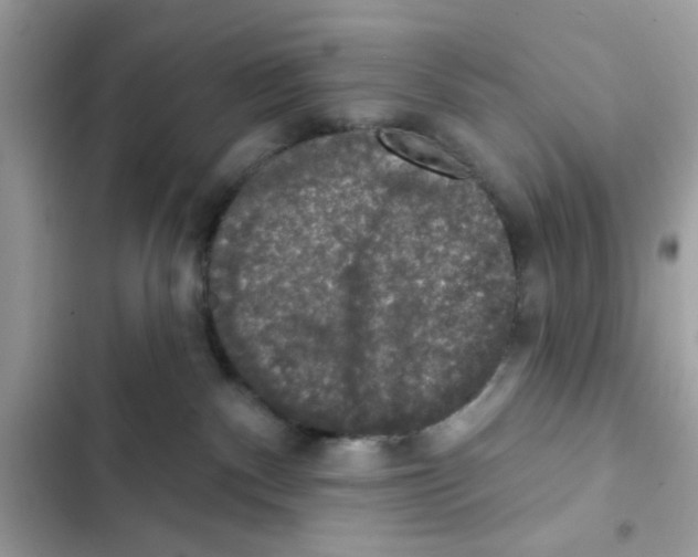 X0000101970140200808151346