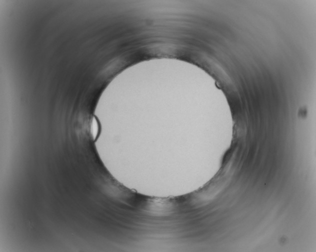 X0000101970141200808151346