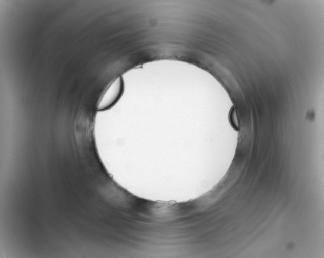 X0000101970142200808151346