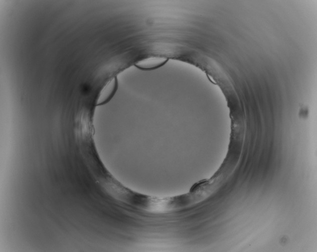 X0000101970143200808151346