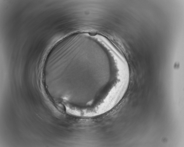 X0000101970145200808151346