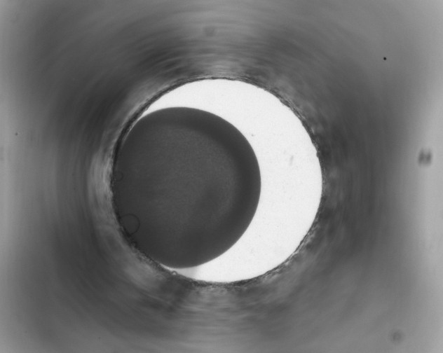 X0000101970146200808151346