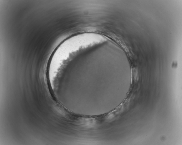 X0000101970147200808151346