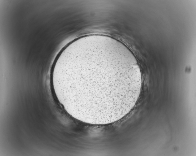 X0000101970148200808151346
