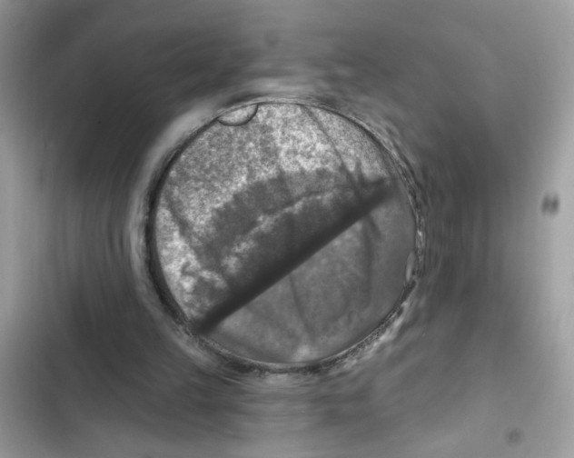 X0000101970149200808151346