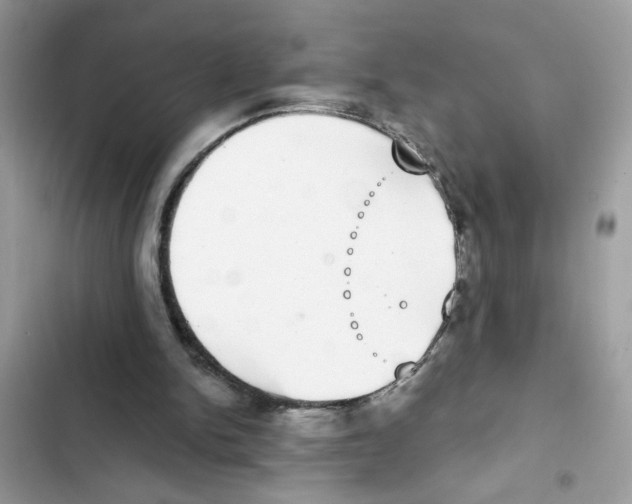 X0000101970150200808151346