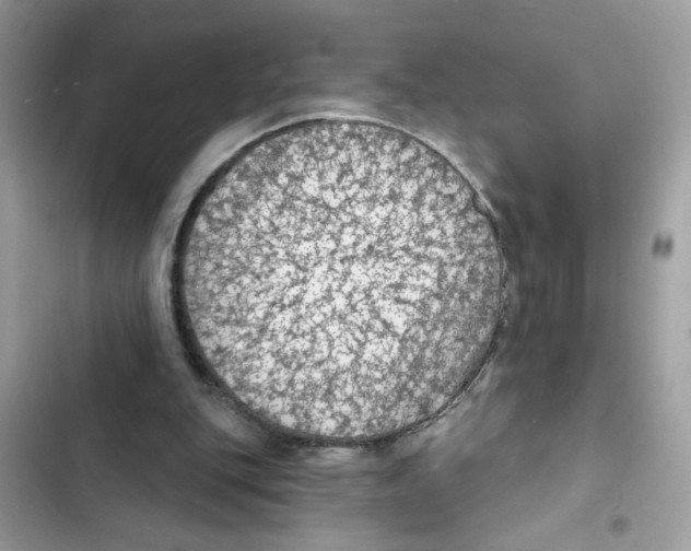 X0000101970151200808151346