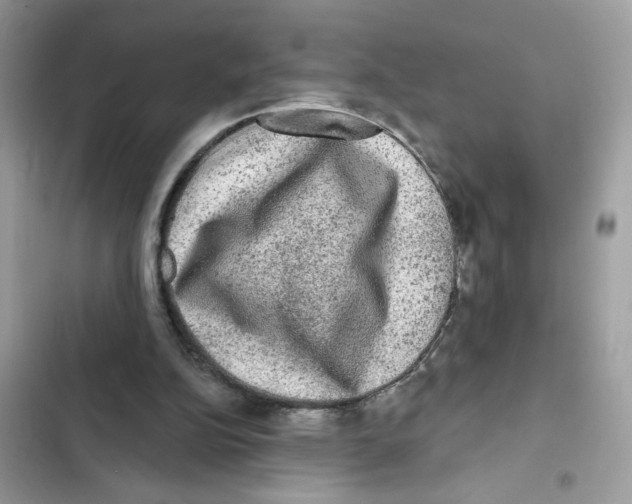 X0000101970152200808151346