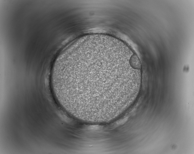 X0000101970153200808151346