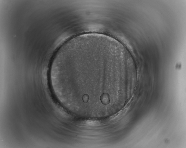 X0000101970154200808151346