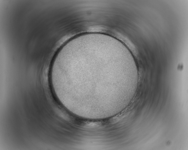 X0000101970155200808151346