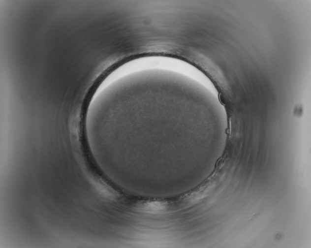 X0000101970156200808151346