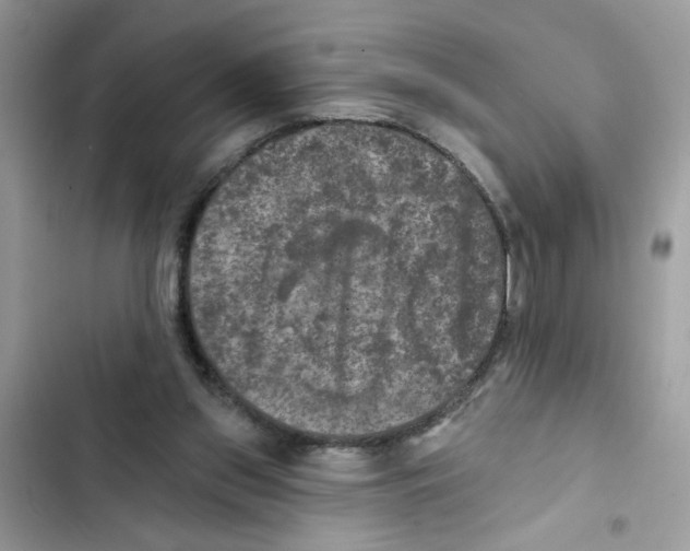X0000101970157200808151346