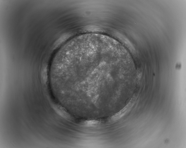 X0000101970158200808151346