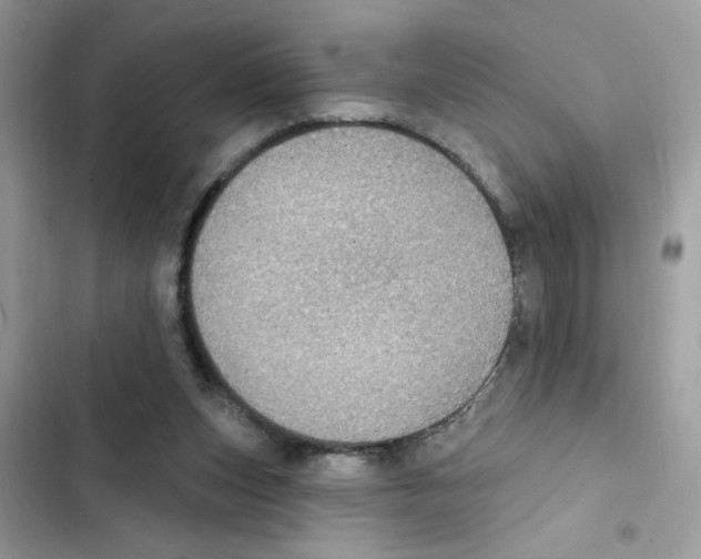X0000101970159200808151346