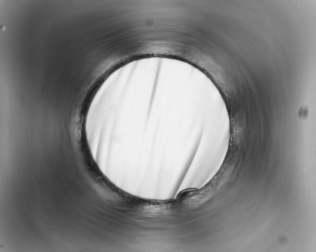 X0000101970160200808151346