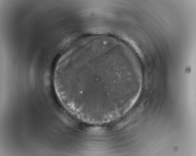 X0000101970161200808151346