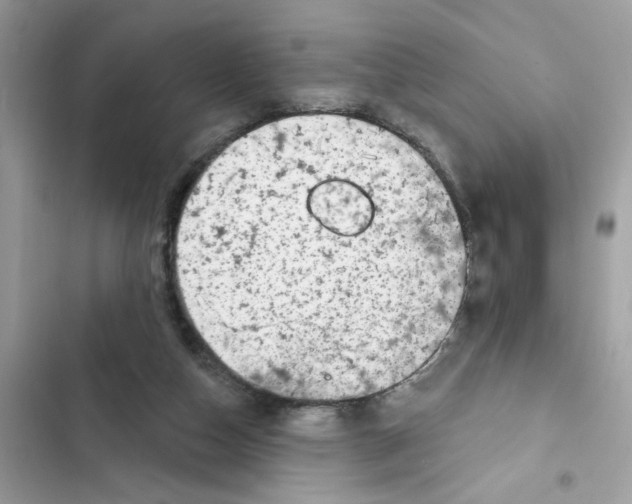 X0000101970162200808151346