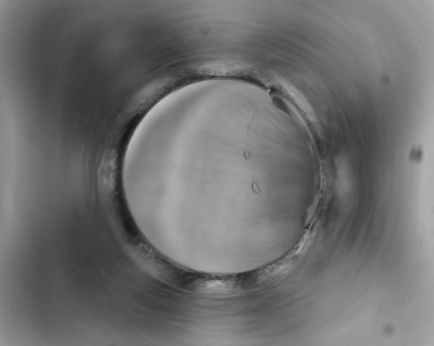 X0000101970163200808151346