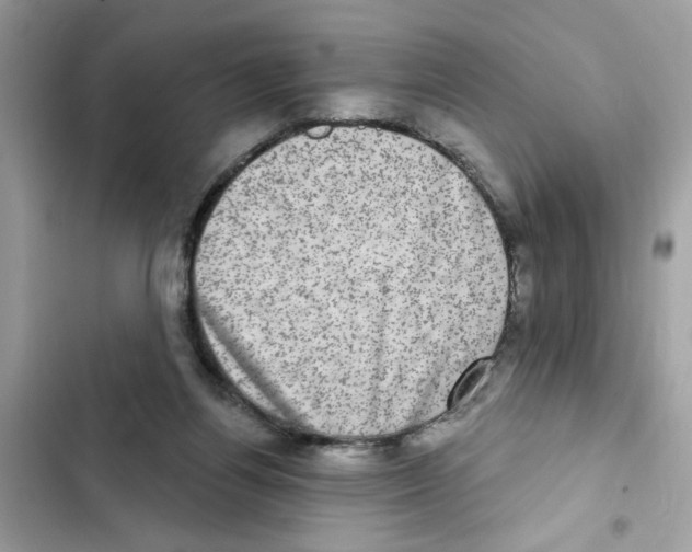 X0000101970164200808151346