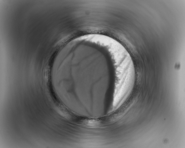 X0000101970165200808151346