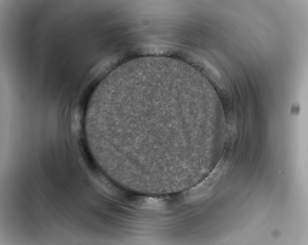 X0000101970166200808151346