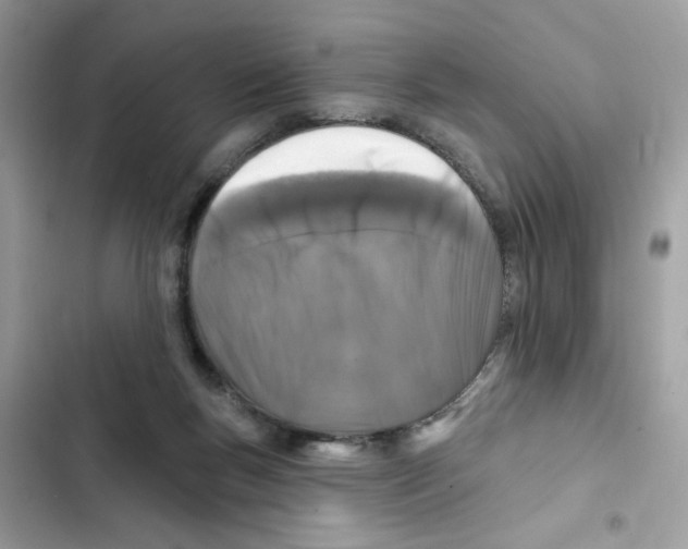 X0000101970167200808151346