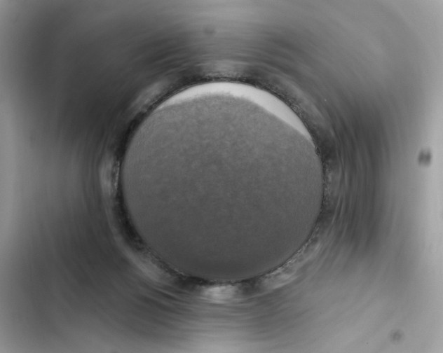X0000101970168200808151346