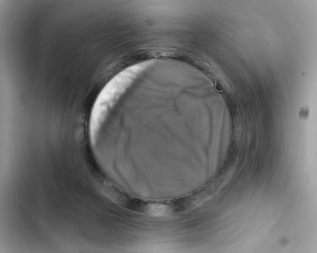X0000101970169200808151346