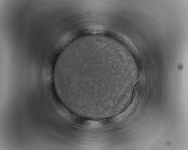 X0000101970170200808151346