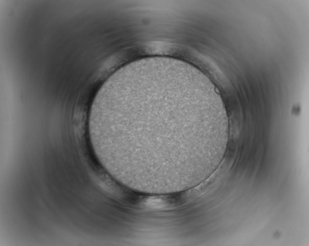 X0000101970171200808151346