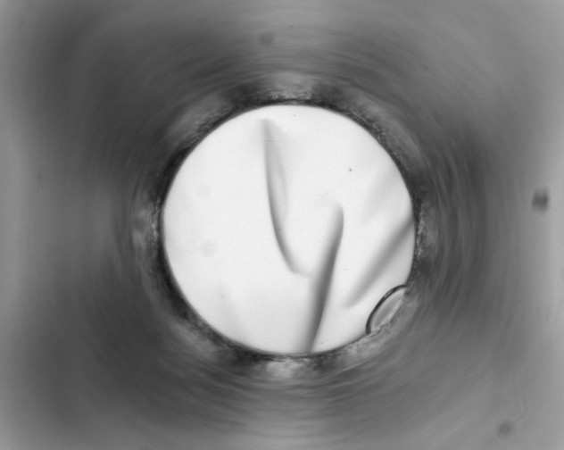 X0000101970172200808151346
