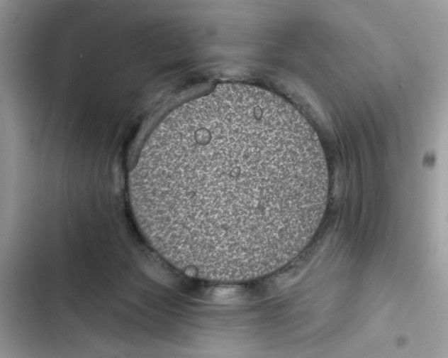 X0000101970173200808151346