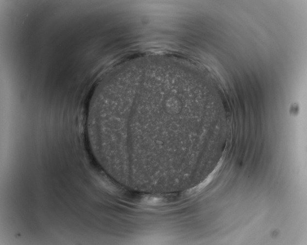 X0000101970174200808151346