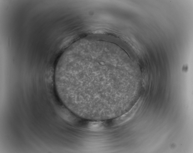 X0000101970175200808151346